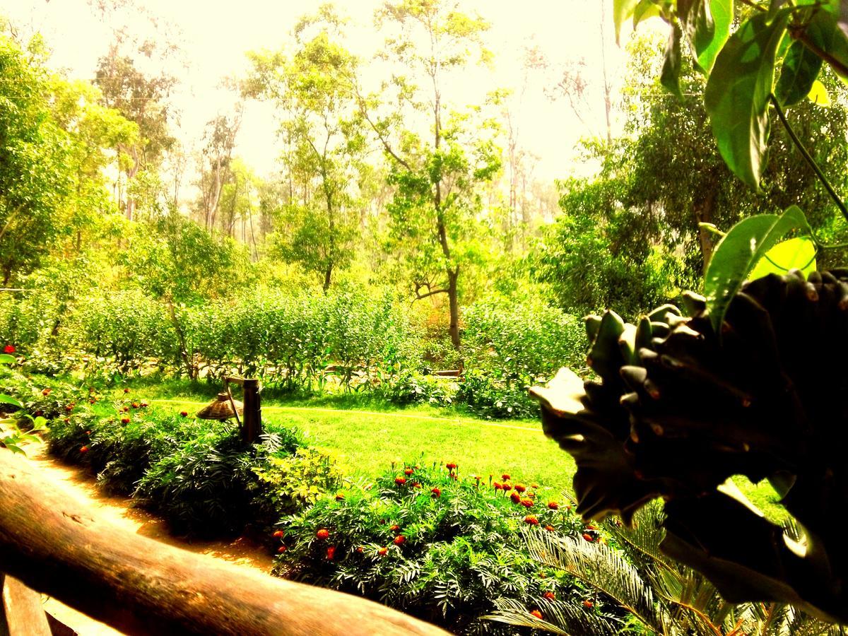 Roshnai Village Resort Bolpur Exteriör bild